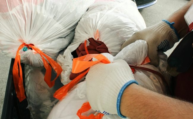 pexels-emily-p-304111120-18365319