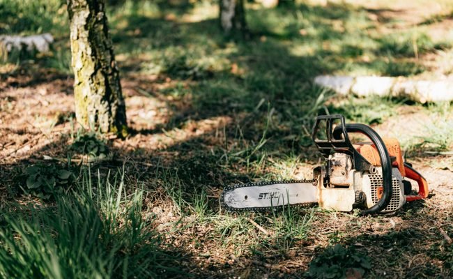 pexels-karola-g-4206054